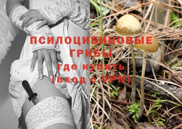 PSILOCYBIN Волосово