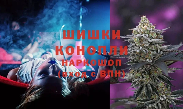 PSILOCYBIN Волосово