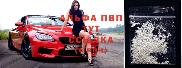 PSILOCYBIN Волосово